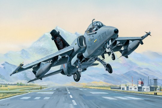 Hobby Boss - AMX Ground Attack Aircraft 